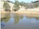 The Top Paddock Back Woolomin Road, Woolomin NSW 2340