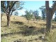The Top Paddock Back Woolomin Road, Woolomin NSW 2340