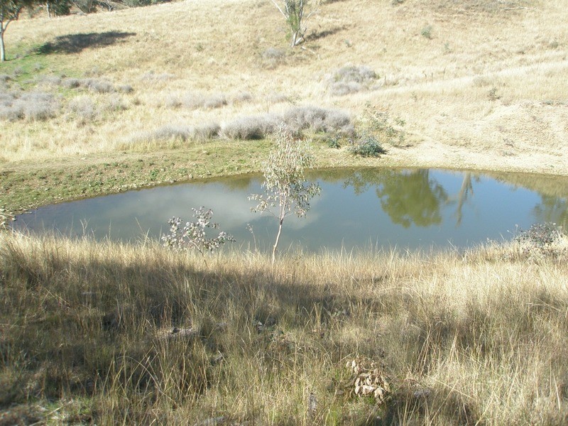 The Top Paddock Back Woolomin Road, Woolomin NSW 2340