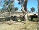 The Top Paddock Back Woolomin Road, Woolomin NSW 2340