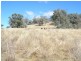 The Top Paddock Back Woolomin Road, Woolomin NSW 2340