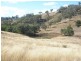 The Top Paddock Back Woolomin Road, Woolomin NSW 2340