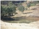 The Top Paddock Back Woolomin Road, Woolomin NSW 2340