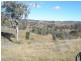 The Top Paddock Back Woolomin Road, Woolomin NSW 2340