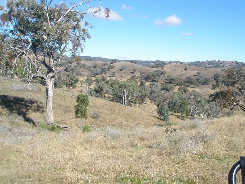 The Top Paddock Back Woolomin Road, Woolomin NSW 2340