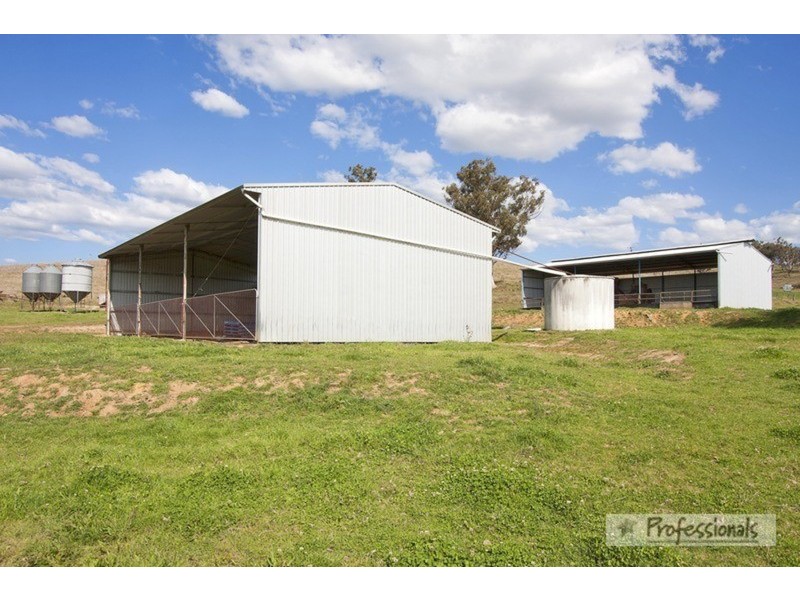 Dungowan NSW 2340