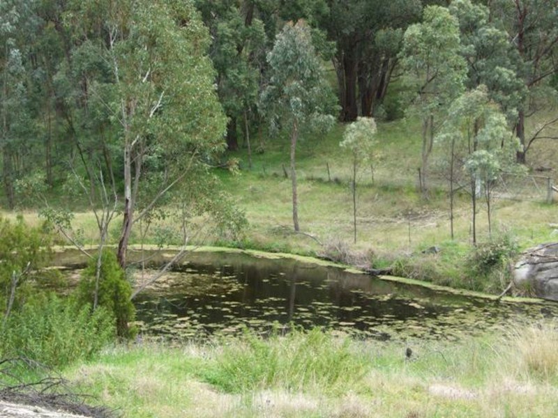 Moonbi NSW 2353