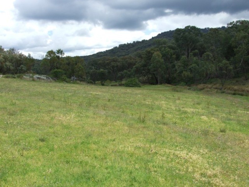 Moonbi NSW 2353
