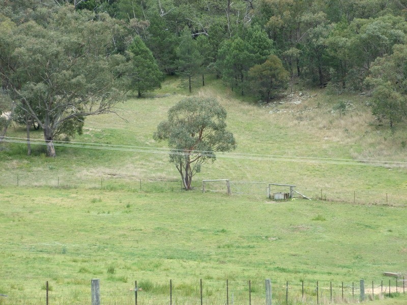 Moonbi NSW 2353