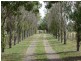 Quirindi NSW 2343
