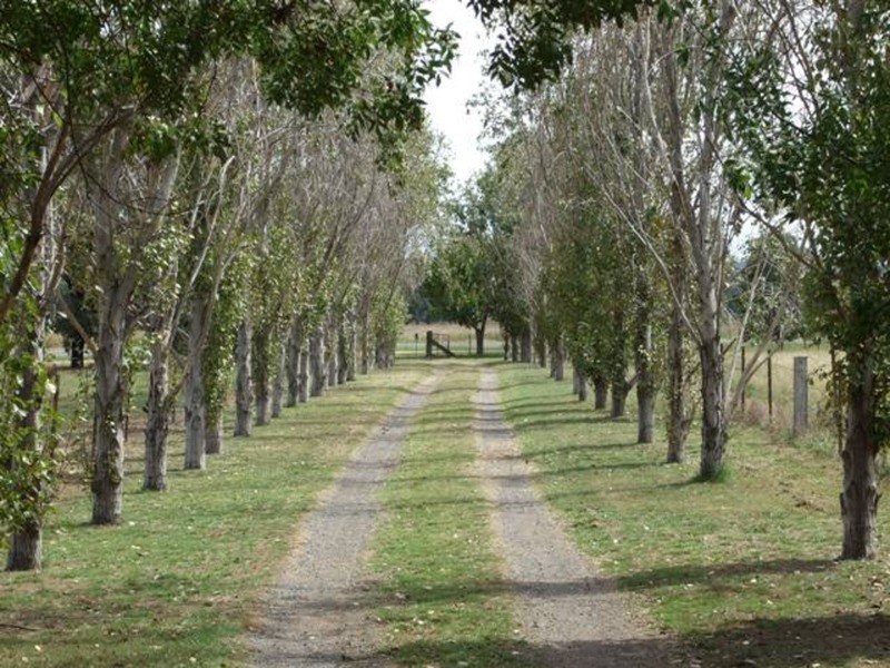 Quirindi NSW 2343