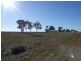 473-585 Heiligmans Lane, Bithramere NSW 2340