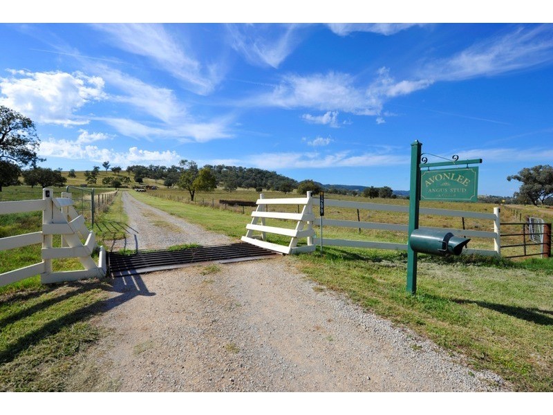 Avonlee & Caloola/1299 Babbinboon Road, Piallaway NSW 2342