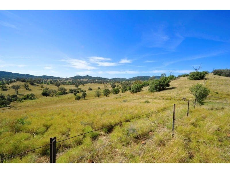 Avonlee & Caloola/1299 Babbinboon Road, Piallaway NSW 2342