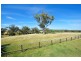 Avonlee & Caloola/1299 Babbinboon Road, Piallaway NSW 2342
