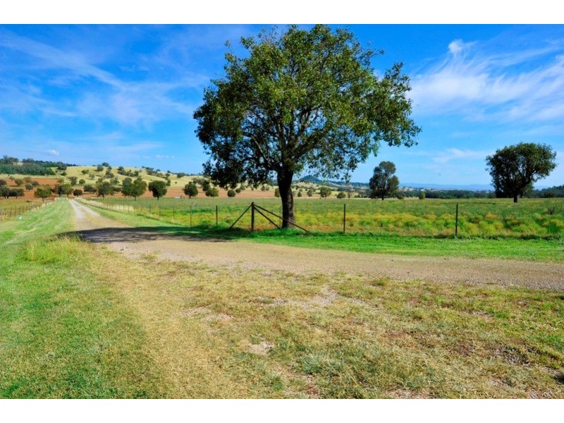 Avonlee & Caloola/1299 Babbinboon Road, Piallaway NSW 2342