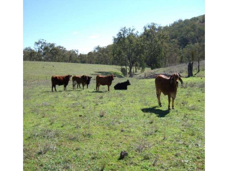 HIGHLANDS 157 Kerridene Road, Piallamore NSW 2340