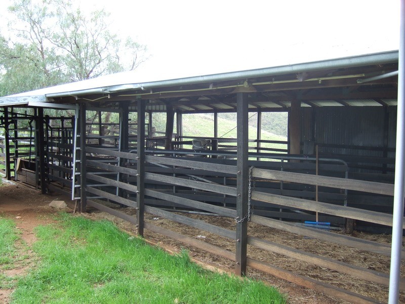 HIGHLANDS 157 Kerridene Road, Piallamore NSW 2340