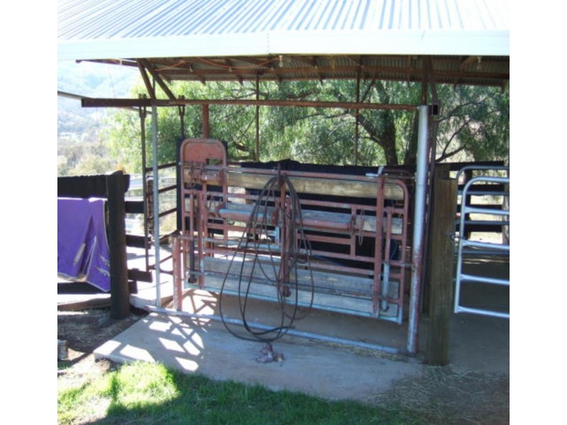 HIGHLANDS 157 Kerridene Road, Piallamore NSW 2340