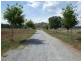 384 Nundle Road, Nemingha NSW 2340