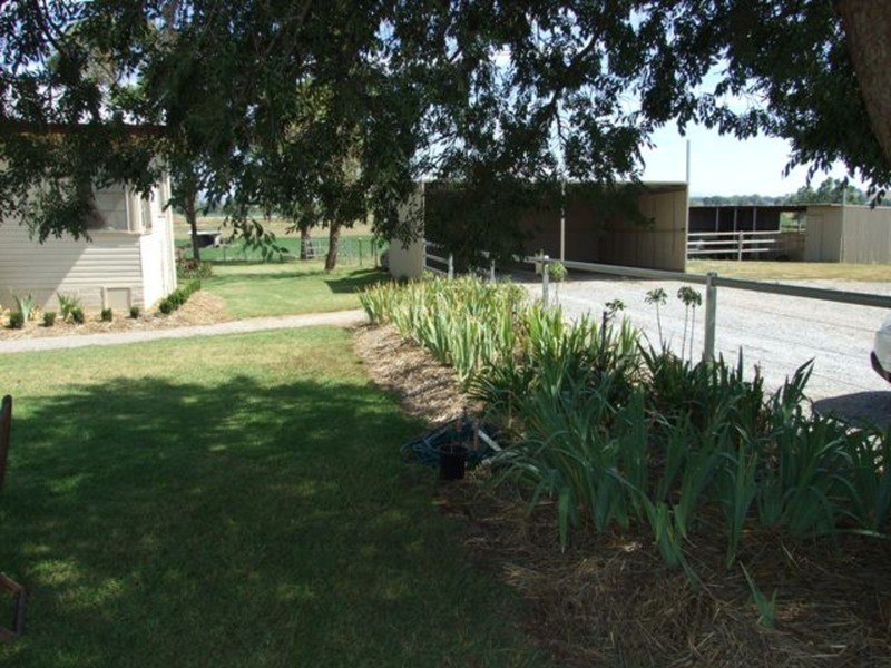 384 Nundle Road, Nemingha NSW 2340