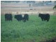 14670 New England Highway, Tamworth NSW 2340