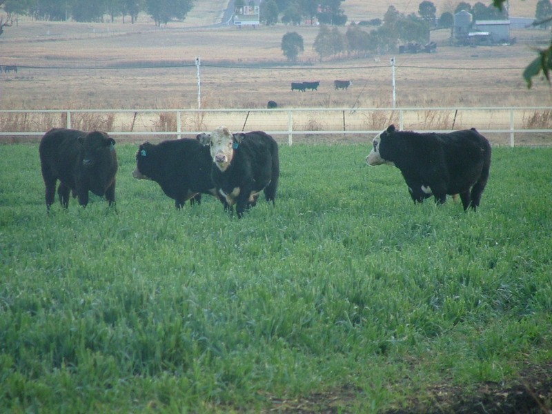 14670 New England Highway, Tamworth NSW 2340