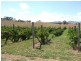 Tamworth NSW 2340