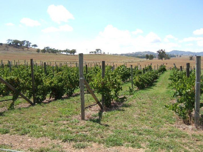 Tamworth NSW 2340