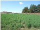 Tamworth NSW 2340