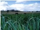 Tamworth NSW 2340