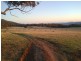 Fig Trees/75 West Caragnoo Road, Moonbi NSW 2353