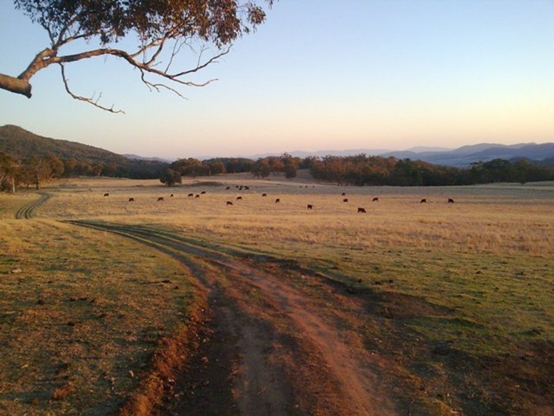 Fig Trees/75 West Caragnoo Road, Moonbi NSW 2353