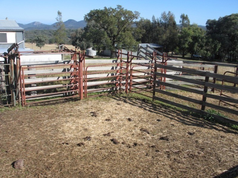 Fig Trees/75 West Caragnoo Road, Moonbi NSW 2353