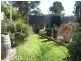 Fig Trees/75 West Caragnoo Road, Moonbi NSW 2353