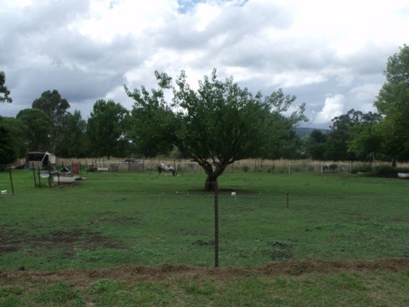 1 Innes  Street, Nundle NSW 2340