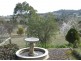 Nemingha NSW 2340
