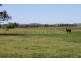 “Kimberley Downs”/324 Nundle Road, Tamworth NSW 2340