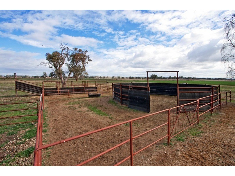 “Kimberley Downs”/324 Nundle Road, Tamworth NSW 2340