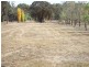591 Moore Creek Road, Tamworth NSW 2340