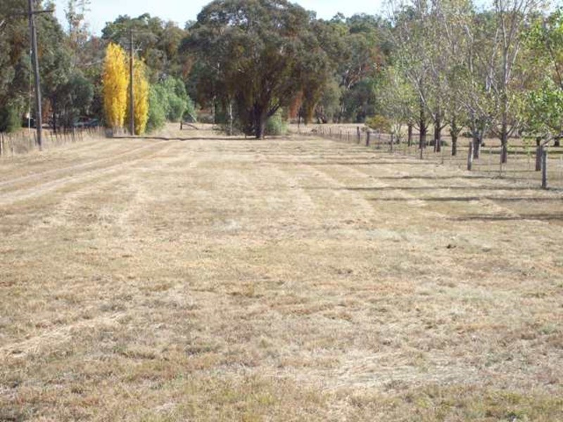 591 Moore Creek Road, Tamworth NSW 2340