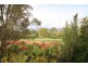 103 Dunoon  Road, Moore Creek NSW 2340