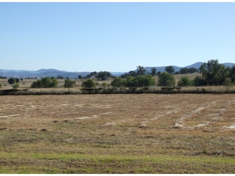 24 Daintree  Circuit, Tamworth NSW 2340