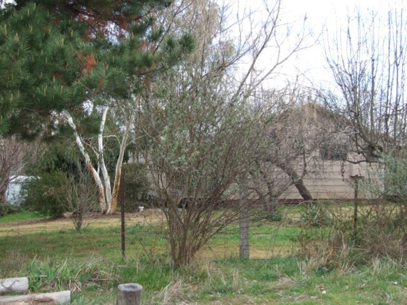 21 Gill  Street, Nundle NSW 2340