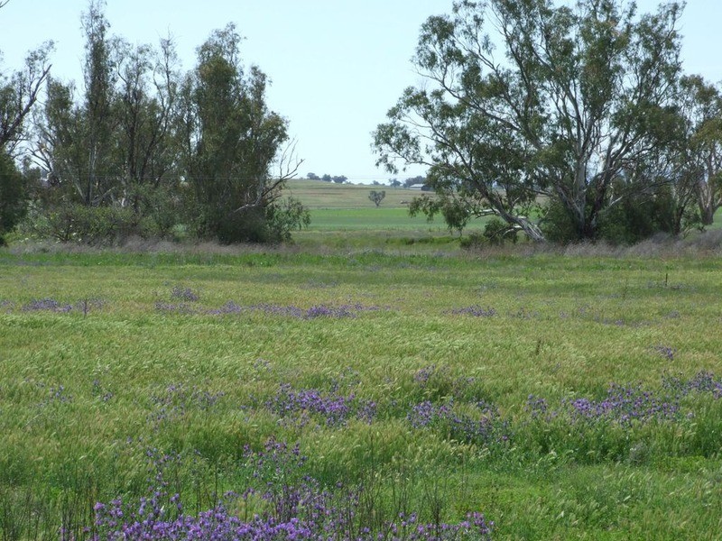110-126 Bloomfield Street, Somerton NSW 2340