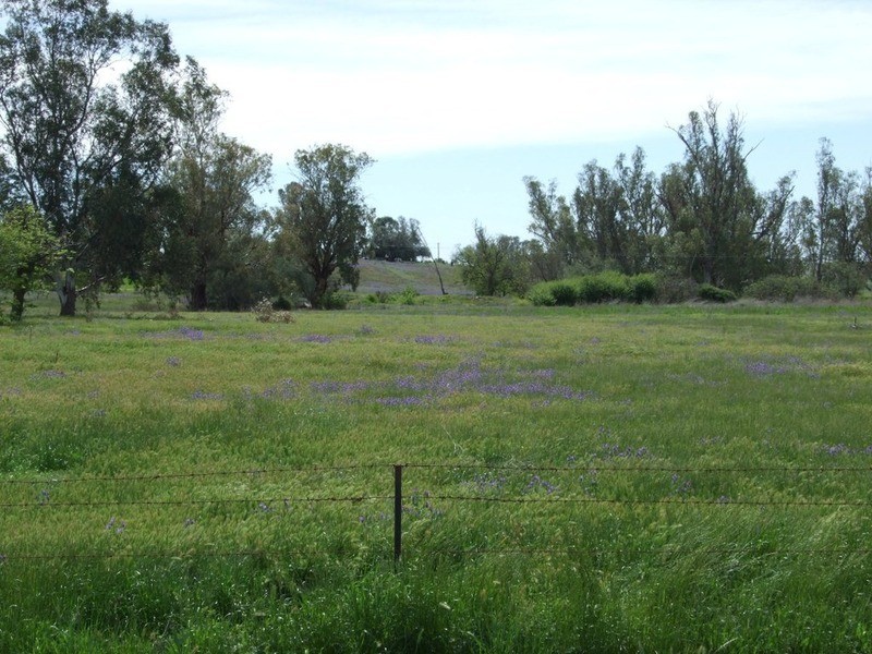 110-126 Bloomfield Street, Somerton NSW 2340