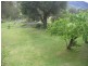 1422 Duncans Creek  Road, Dungowan NSW 2340