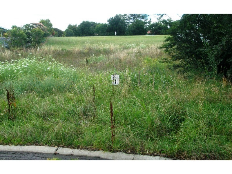 12 Emerald Avenue, Tamworth NSW 2340