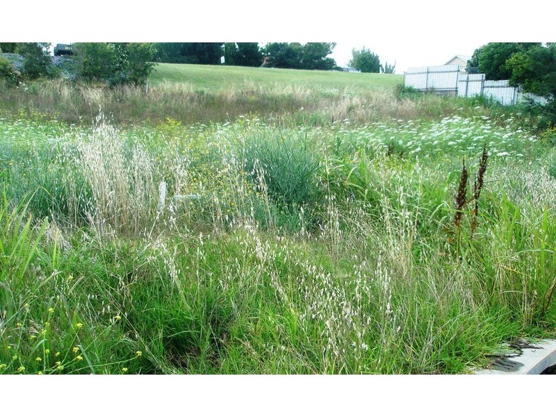 12 Emerald Avenue, Tamworth NSW 2340