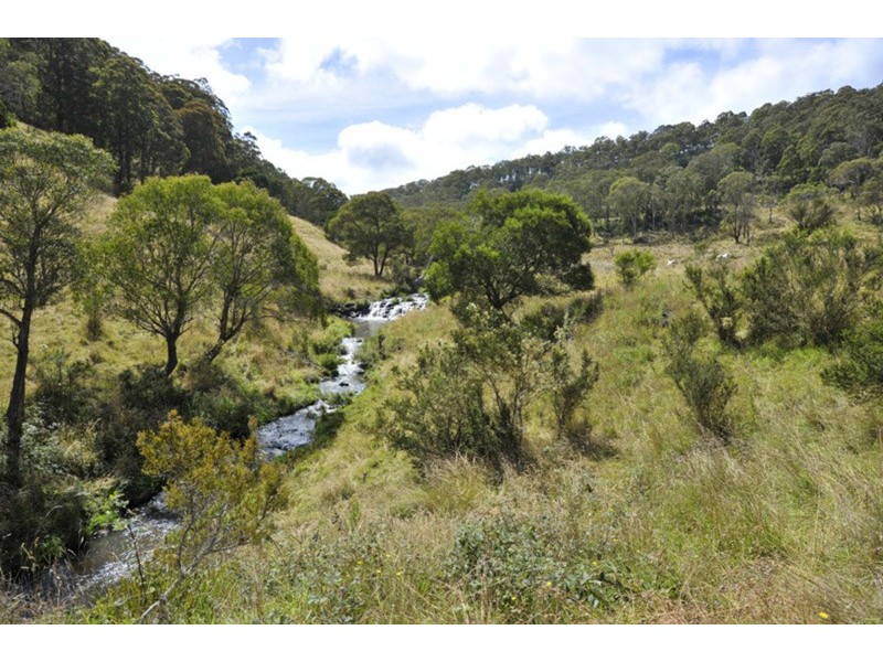 Pipeclay Ridge Via Armidale, Ebor NSW 2453